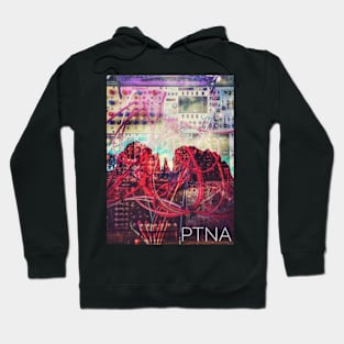 PTNA Current Vortex Hoodie